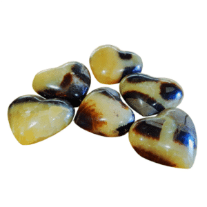 Petit Coeur Septaria